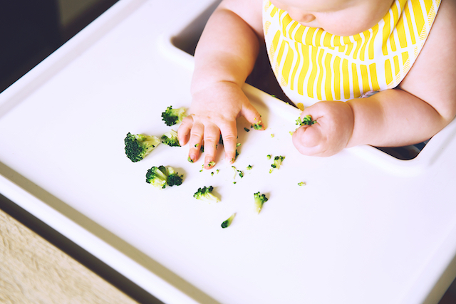 WHEN IS BABY SOLID FOOD READY