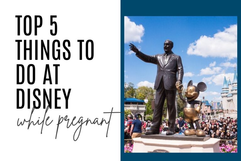 Disney Pregnant - Cover