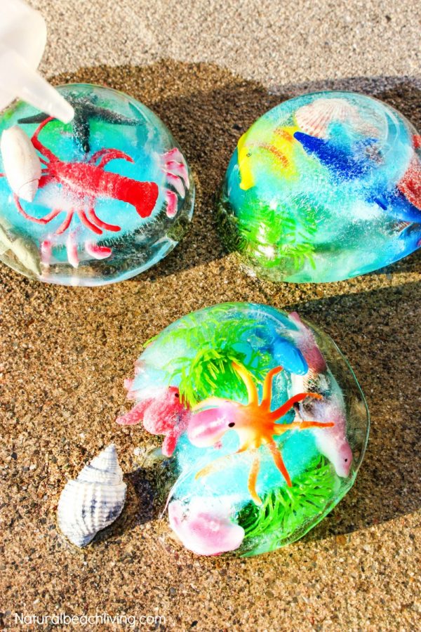 Ocean Sensory Activities Easy Ocean Themed Sensory Play