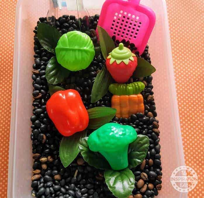 preschool vegetable garden sensory bin