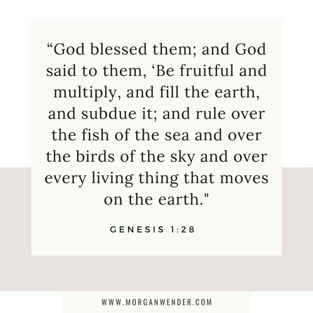 Genesis 1:28