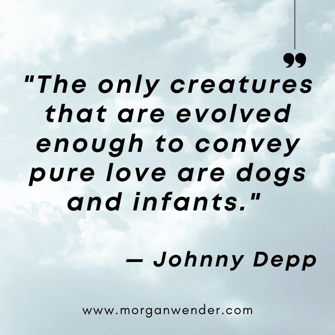 johnny depp saying - new baby quotes